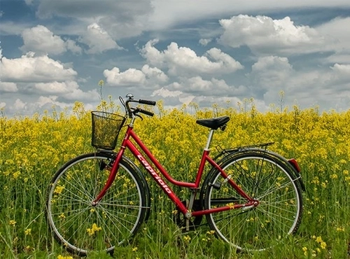 Kako pripremiti bicikl za novu sezonu?