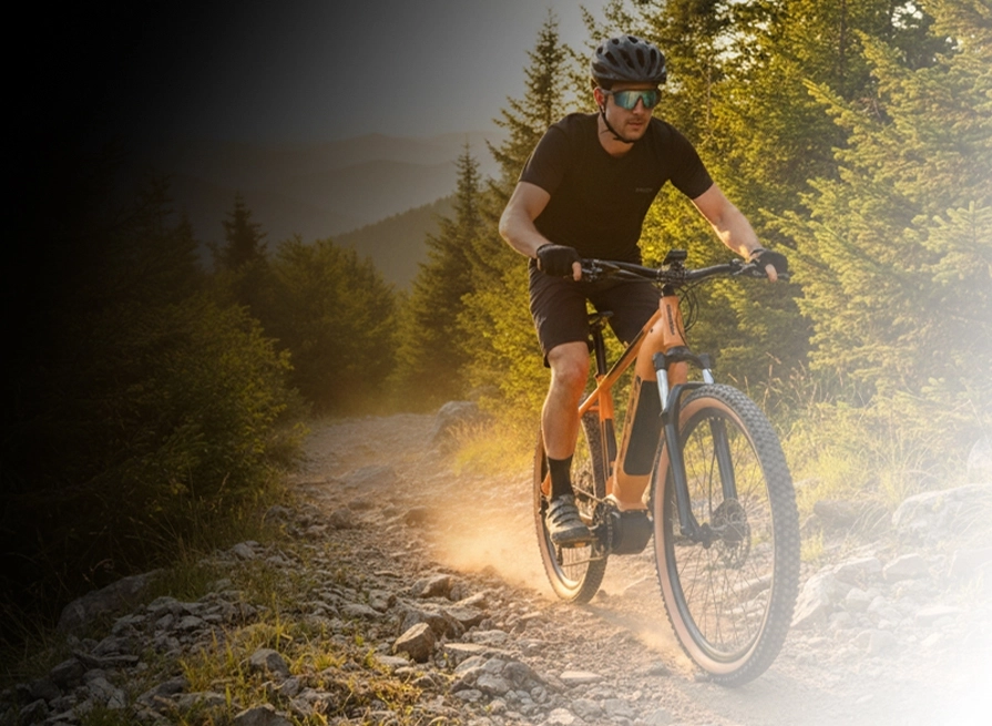 E-bike