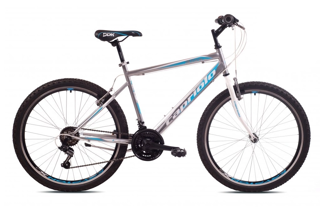 MTB PASSION M 26"/18HT siv-pla
