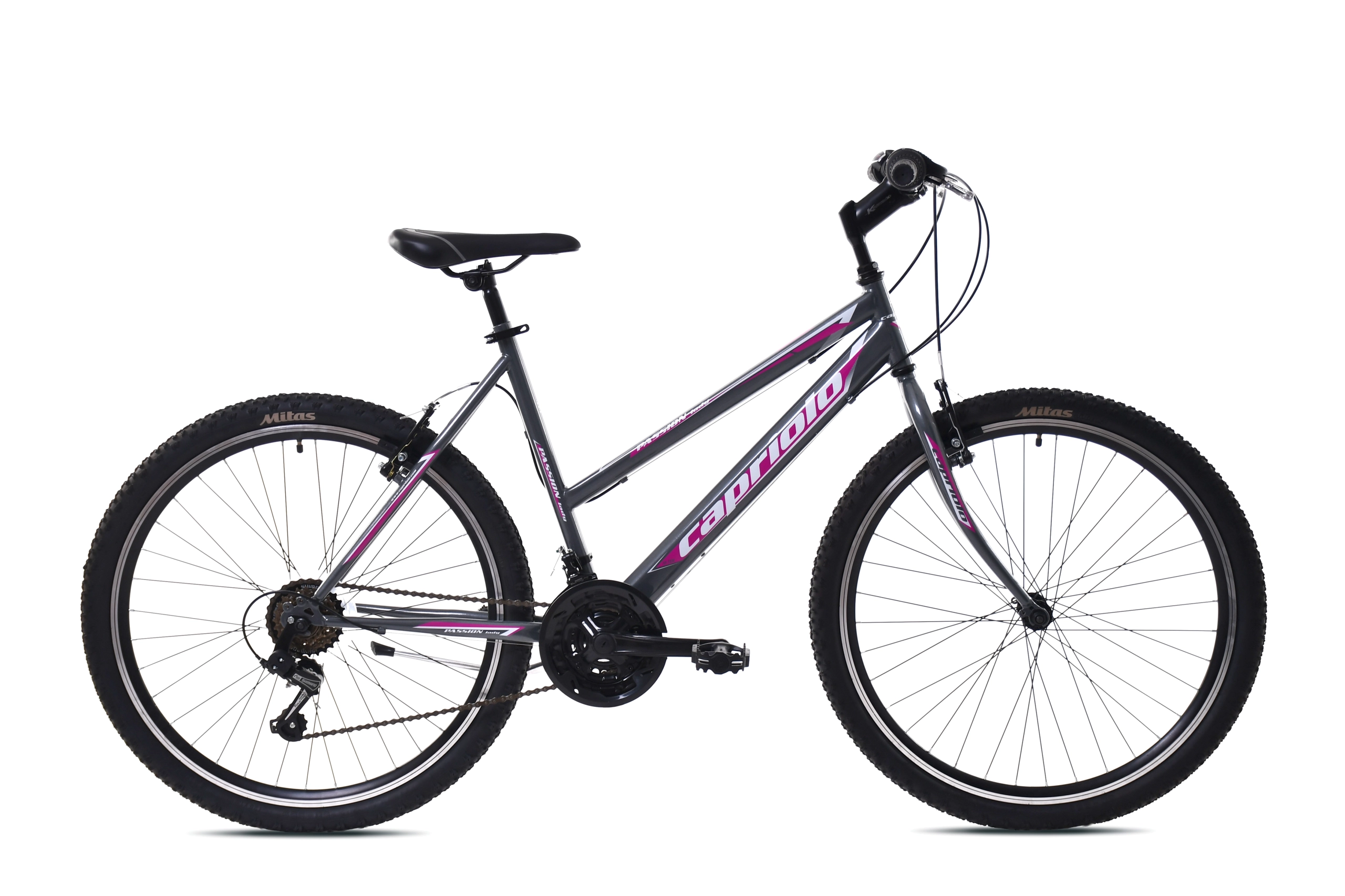 MTB PASSION L 26"/18HT sivo