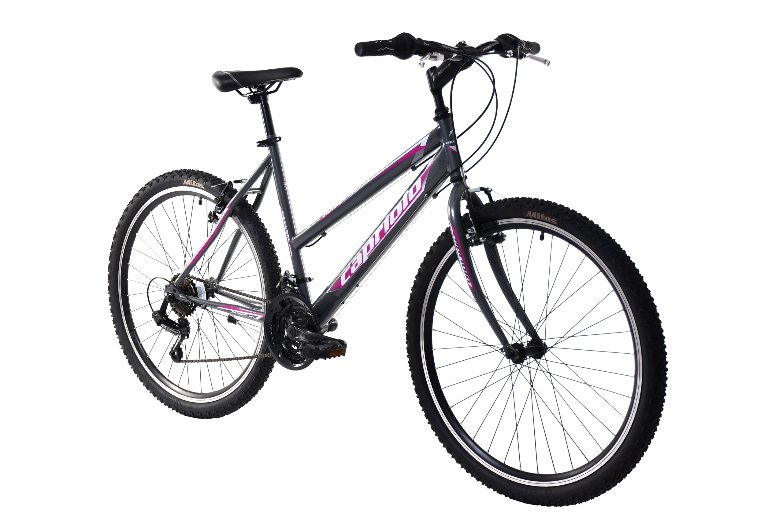 MTB PASSION L 26"/18HT sivo
