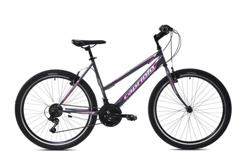 MTB PASSION L 26"/18HT sivo