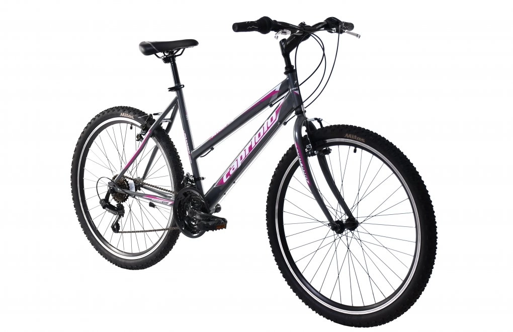 MTB PASSION L 26"/18HT sivo