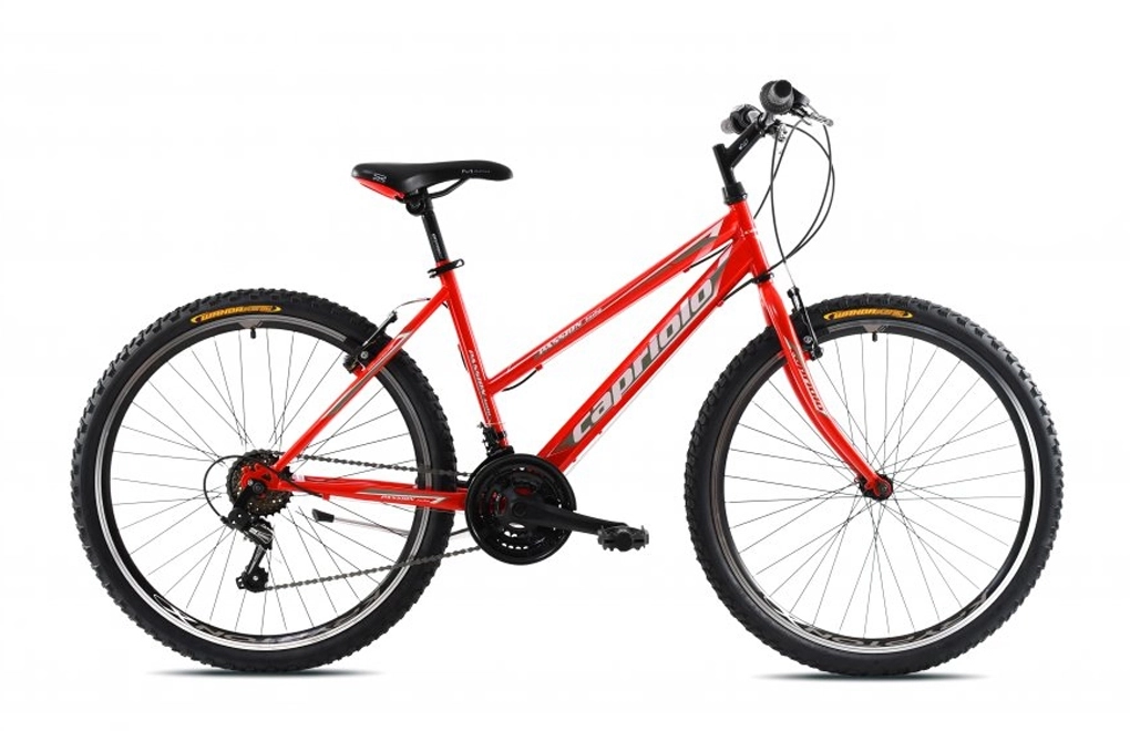 MTB PASSION L 26"/18HT crv-bel
