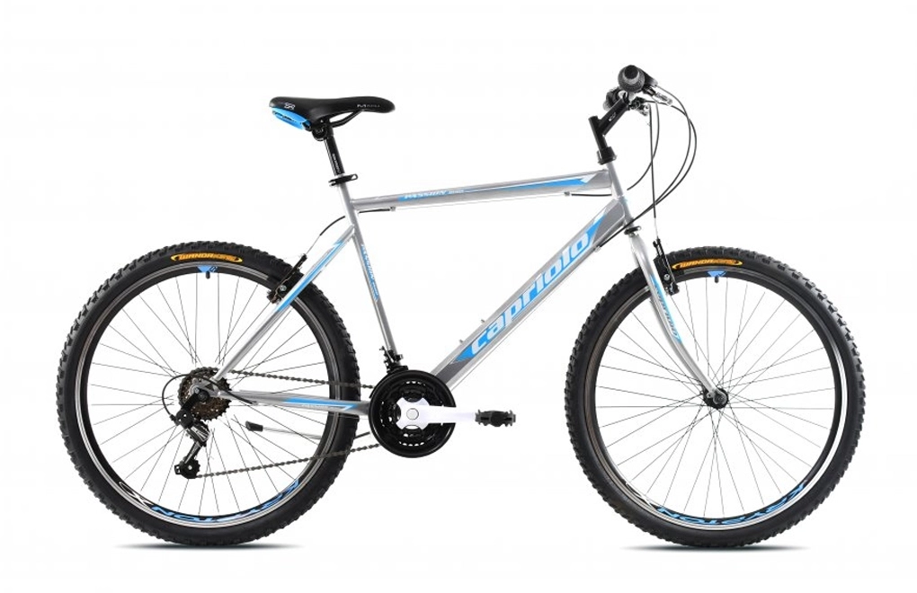 MTB PASSION M 26"/18HT siv-pla