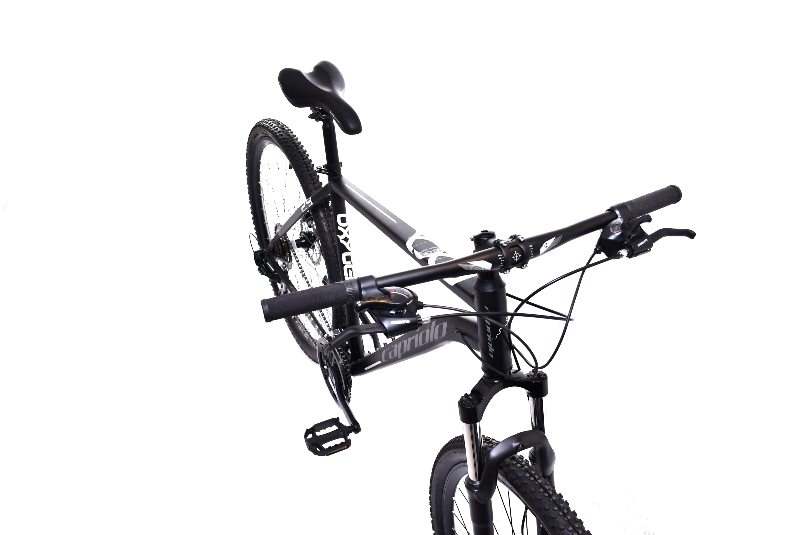 MTB OXYGEN 29"/21HT crno-sivo