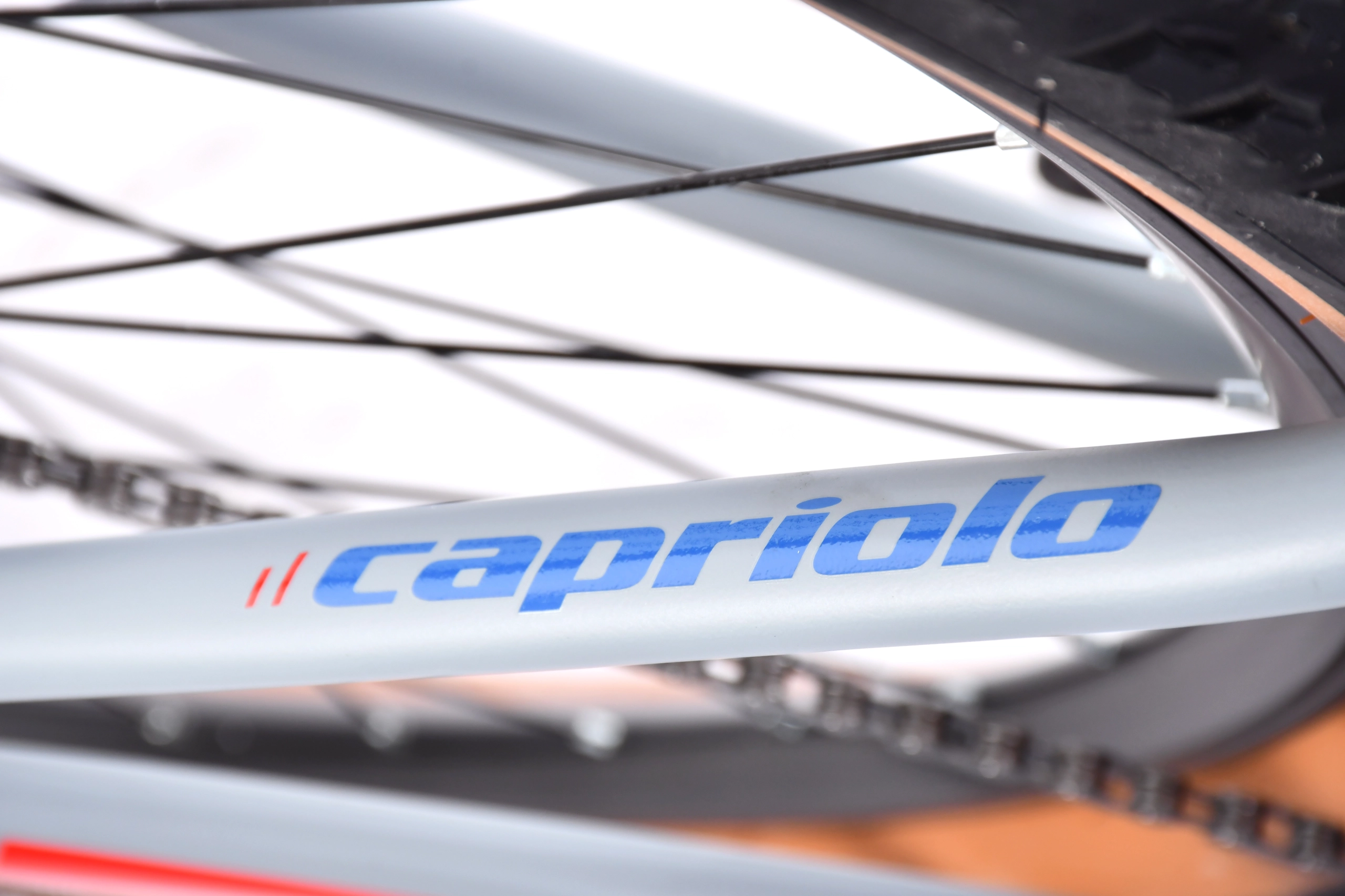 BICIKL CAPRIOLO LC 29-3 29"/24AL plavo-crveno 19"