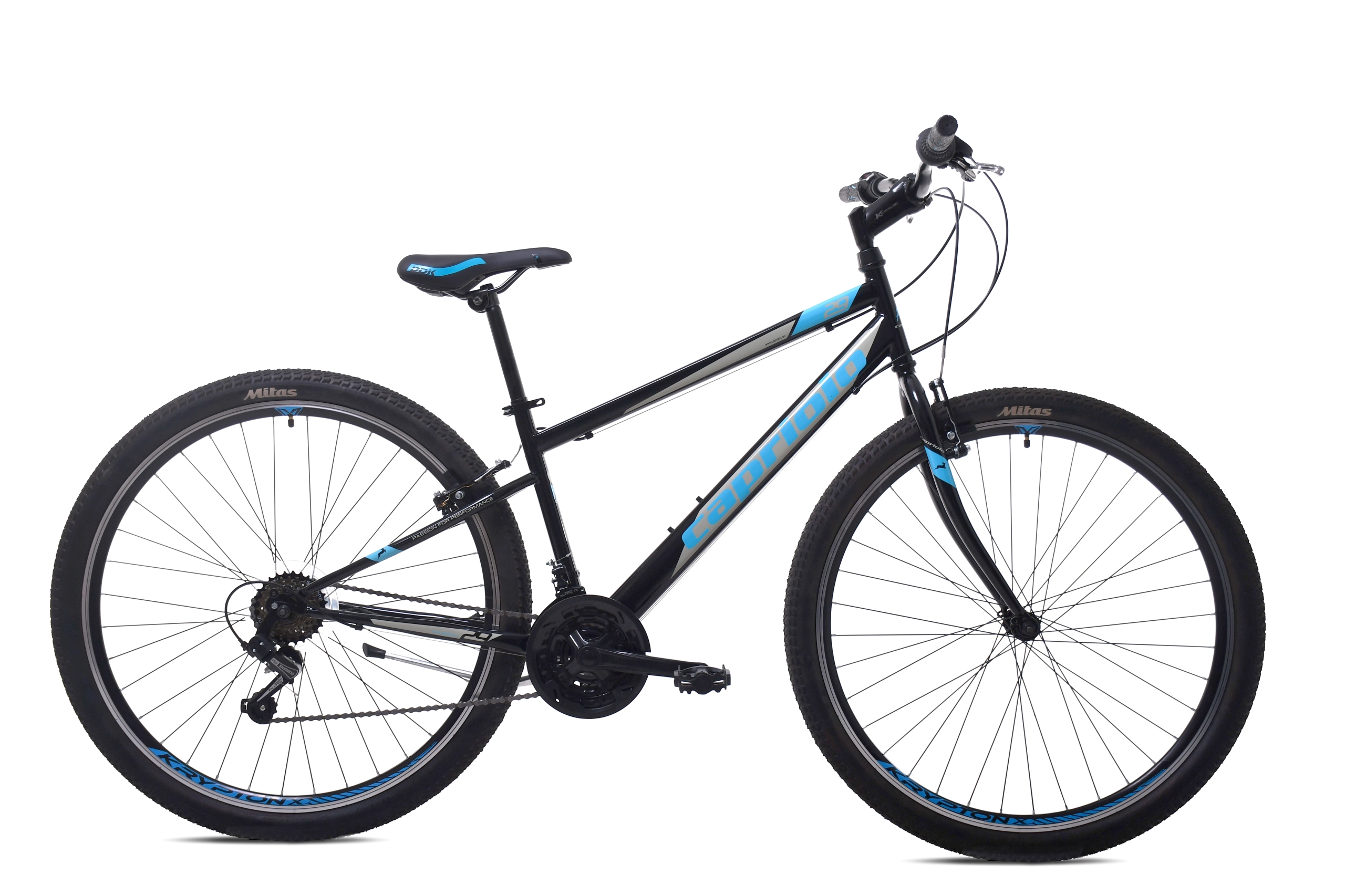MTB PASSION M 29"/18HT crn-pla