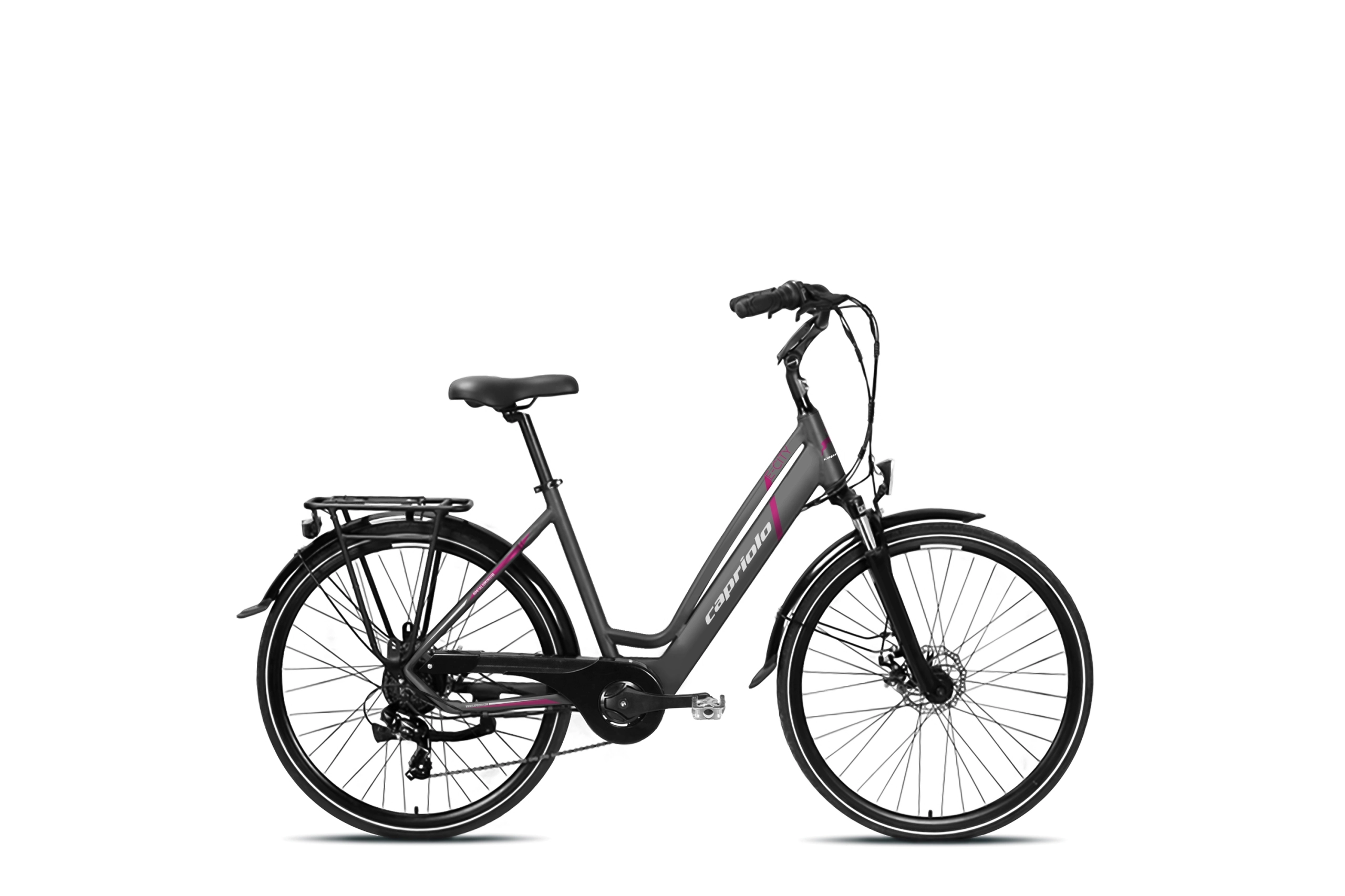 E-CITY LADY 28" E-BIKE siv-pin
