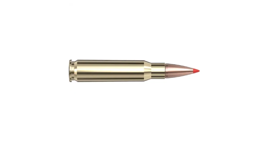 308WIN 150GR SST-9,72g